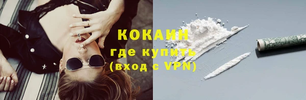 твердый Аркадак