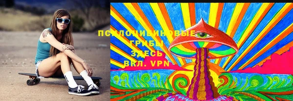 твердый Аркадак