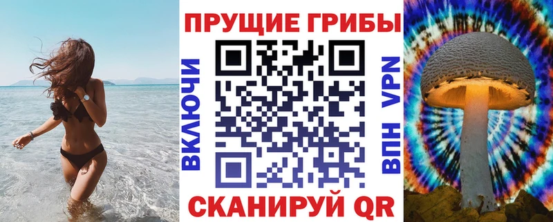 Псилоцибиновые грибы ЛСД даркнет сайт Белокуриха